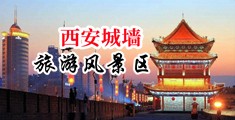 女人被男人用鸡巴操的视频外国中国陕西-西安城墙旅游风景区